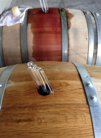 BARREL TASTING 2/22/25